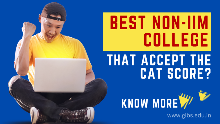 Which are the best non-IIM colleges that accept the CAT score?